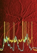 Ultra-Sensitive Monitoring System Provides New Insights into Entorhinal Cortex