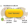 New Biosensor Holds Potential for Easier Detection of Kidney Disease
