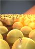 Gold Nanoparticle Layer Rapidly Detects Trace Amounts of Hazardous Chemicals