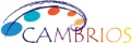 CN Innovations Partners with Cambrios to Develop Touch Sensor Modules