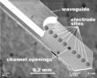 Laser Microimplant Controls Individual Nerve Cells