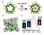 Aromatic Photoactive Micelles Demonstrate Potential for Photofunctional Dyes and Sensor Applications