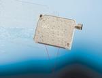 New IP69K-protected Series of Laser Sensors for Food and Beverage Industry