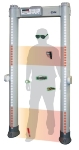 CEIA Metal Detectors Provide Effective Security Checkpoints and Improved Fan Experience