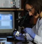 Novel Biocathode for Miniaturized Biofuel Cells May Benefit Biosensors