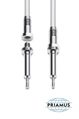 New Miniature Cavity Pressure Sensor by Priamus System Technologies