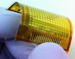 User-Interactive Sensor Network Created on Flexible Plastic
