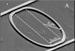 imec Develops Ethanol Vapor Sensor Coated with ZnO Nanoparticle Film