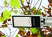 Arquiled’s Combine with OSRAM to Efficiently Illuminate the Streets