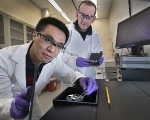 Scientists Devise New Type of DNA Sensor