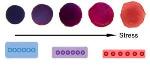 Researchers Design New Type of Pressure Sensor Film