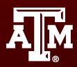 Texas A&M Whitaker Fellowship Winner to Work on Biosensor Technology