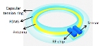 Sensor Embedded in the Eye May Help Monitor Pressure Changes