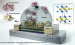 Atomically Thin, Two-Dimensional, Ultrasensitive Semiconductor Material for Biosensing