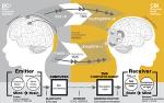 Robotized Computer-Brain Interface Facilitates Direct Brain-to-Brain Communication in Humans