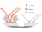 Label-Free Optical Biosensors for Rotavirus Detection