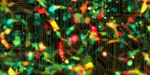 ETH Biological Circuit Uses Internal Timer to Control Activity of Individual Sensor Components