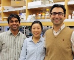 TSRI Biologists Identify Mechanoreceptor Protein that Mediates Sense of Touch in Mammals