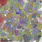 Novel Sensor Changes Colour Based on Confined Space in Cells