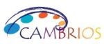LG Achieves Mass Production Run Rate for Silver Nanowire-Based Touch Panels using Cambrios’ ClearOhm® Ink