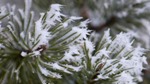 NASA's Soil Moisture Active Passive Mission to Begin Monitoring of Frozen or Thawed Landscape in April 2015