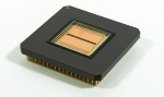 Ultrafast Line Scan Sensor from Fraunhofer Identifies Faulty Safety Features in Banknotes