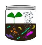 Rice University Receives $1 Million to Develop Microbial Biosensors