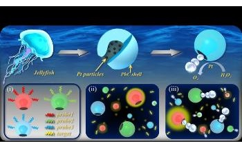 New Micromotors for Biosensors have Stable Structural Color for Multiplex Assays