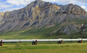 Bio-Inspired Scanning Method Detects Corrosion in Oil and Gas Pipelines