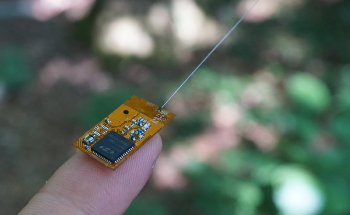 Tiny “Backpack” Computers Help Track Social Behavior of Animals