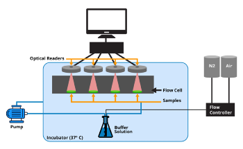 Minimally Invasive Biosensor System for Personal Management of Gout