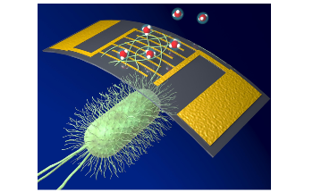 The Most Sensitive Bioelectronic Ammonia Gas Sensor Ever Made