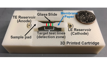New Paper-Based Sensor Could Support Early Cancer Detection