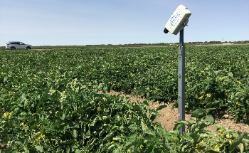Agtech Australian First: More Crop Per Drop