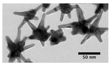 Label-Free Nanosensing Technique Helps Detect Early Biomarkers of Cancer