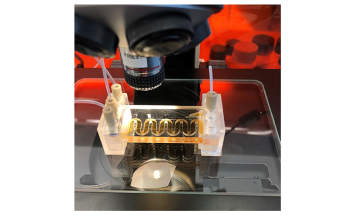 New Lab-on-a-Chip Sensor Enables Continuous pH and Chlorine Monitoring in Pools