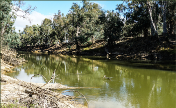 Space Technology Set to Boost National Water Quality Management