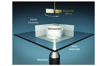 New Motorized Nanosensor Could Speed Up Early Diagnosis of Disease
