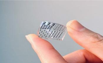 New Durable Electronic Skin Exhibits Various Sensing Functions