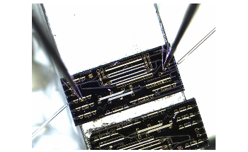 New Photonic Sensor Technology for Portable Ammonia Detection in Agriculture
