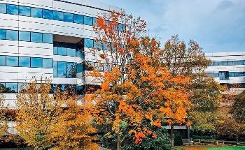 InfraTec Opens Second Branch Office in the USA