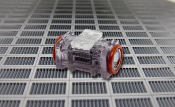New Ozone Generator Effectively Kills Germs