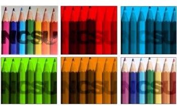 Mantis Shrimp-Inspired Optical Sensor for Hyperspectral, Polarimetric Imaging