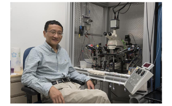 New Brain Sensor Could Transform our Understanding of Many Neurological Diseases