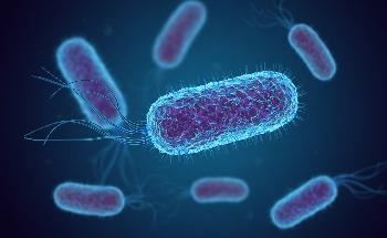 Hydrogel Shells Could Help Deploy Bacteria as Environmental Sensors