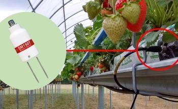Delta-T Devices sensors at the NIAB EMR WET Centre - 2020 data shows record crop yields due to smart irrigation breakthroughs