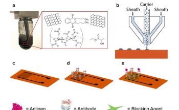 Improving Graphene Biosensors for use in Medicine and Food Monitoring