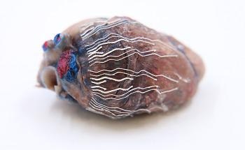 New Biosensor Records and Creates Images of Tissues and Organs at the Same Time