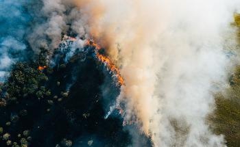 The Role of Drones and Sensors when Monitoring Wildfires