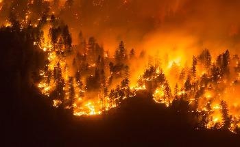 Wireless Sensors and UAVs Could be Ideal for Battling Forest Fires